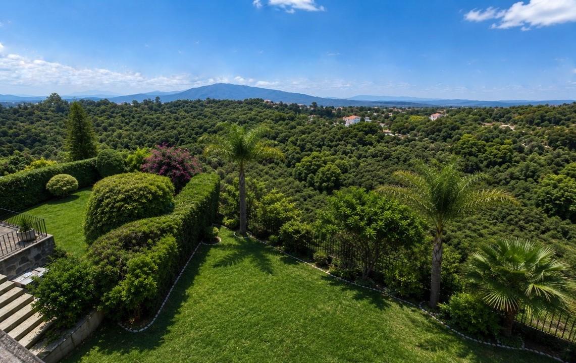 Vista al bosque desde la residencia